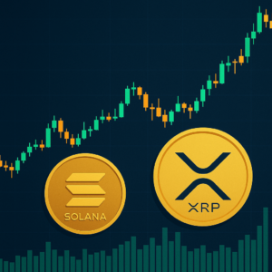 Institutionelle Akkumulation